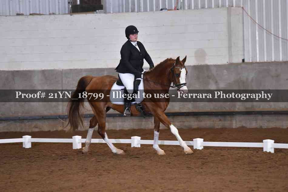 Proof 21YN_18799