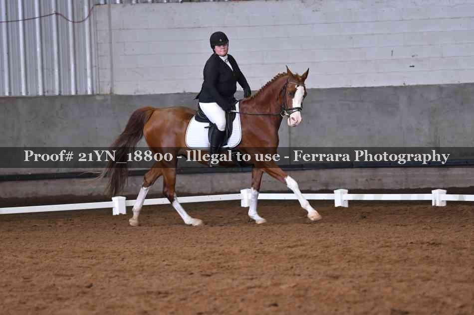 Proof 21YN_18800
