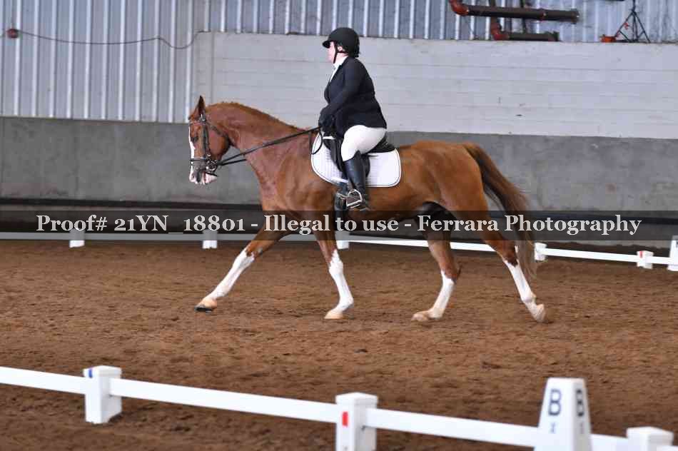 Proof 21YN_18801