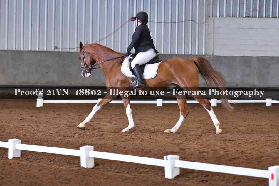 Proof 21YN_18802
