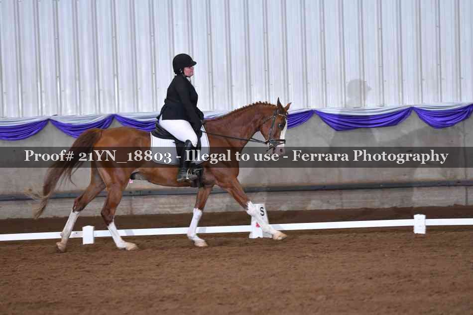 Proof 21YN_18803