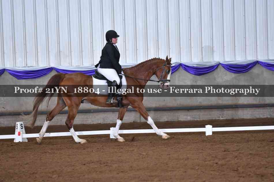 Proof 21YN_18804
