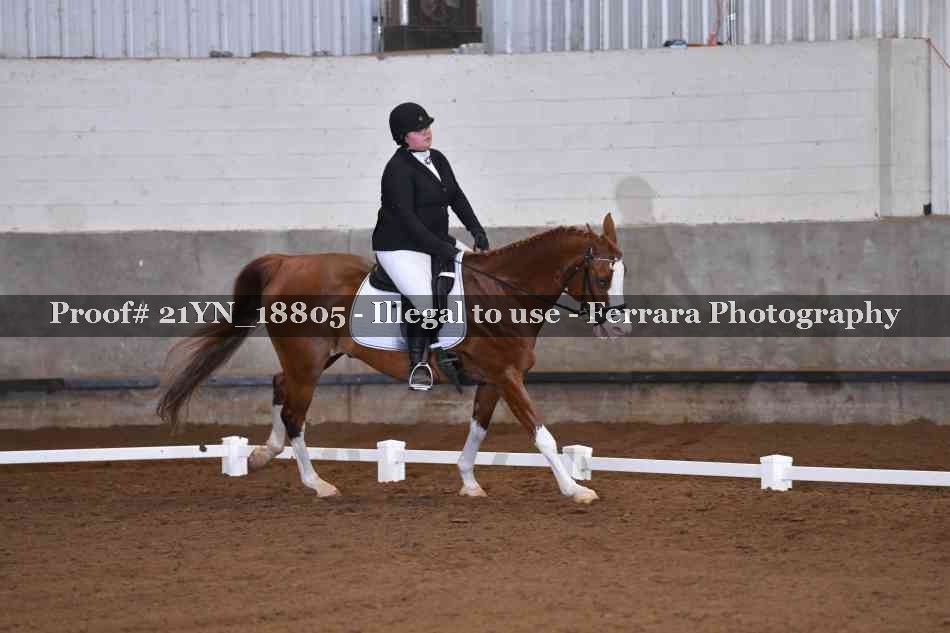 Proof 21YN_18805