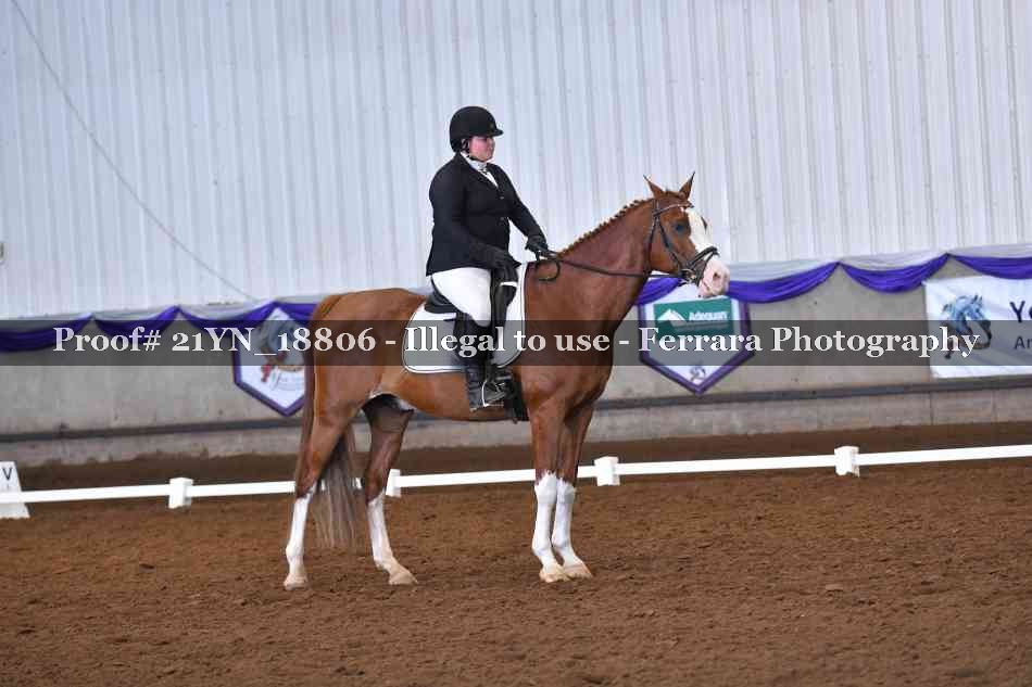 Proof 21YN_18806