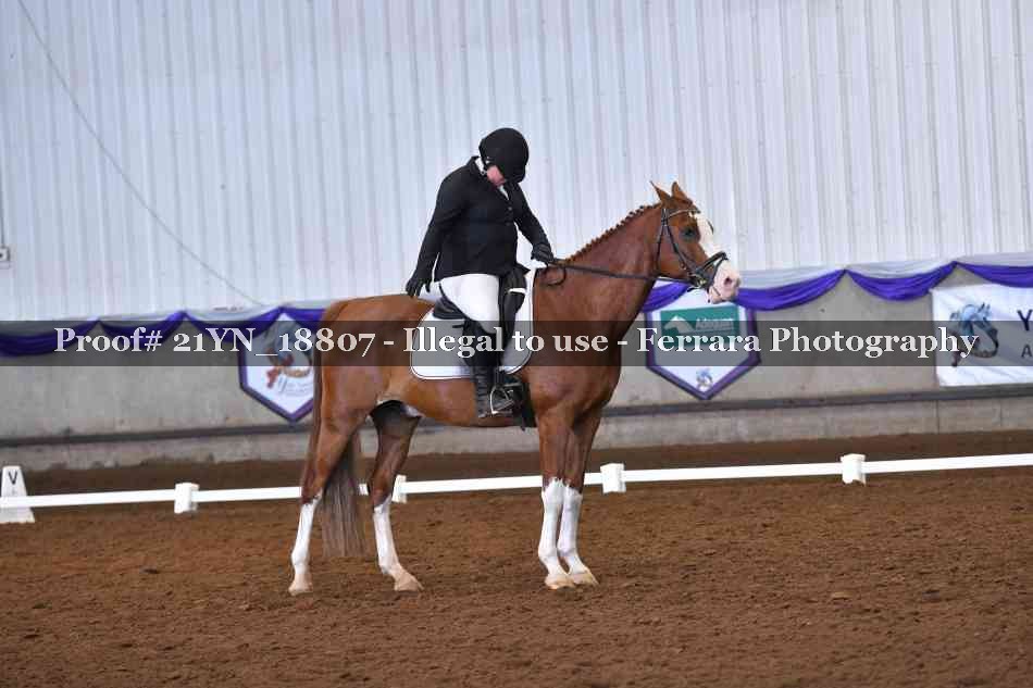 Proof 21YN_18807