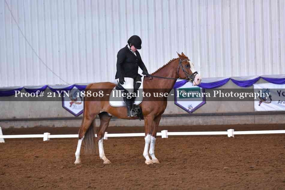 Proof 21YN_18808