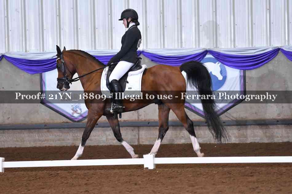 Proof 21YN_18809