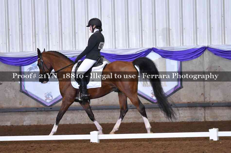 Proof 21YN_18810