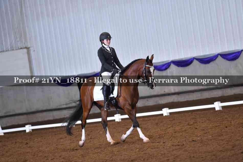 Proof 21YN_18811