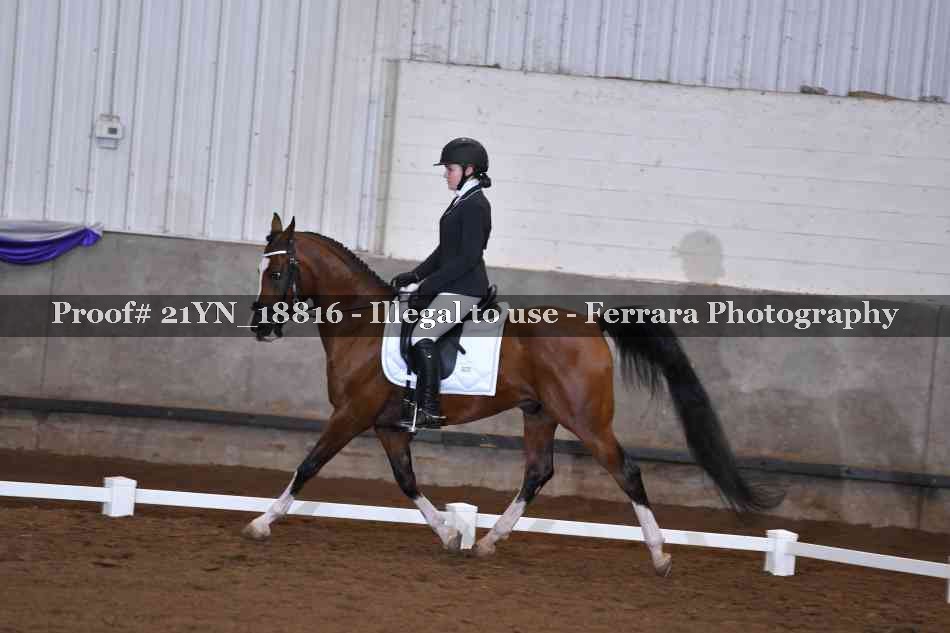 Proof 21YN_18816