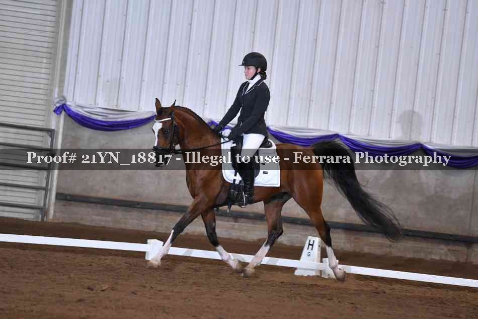 Proof 21YN_18817