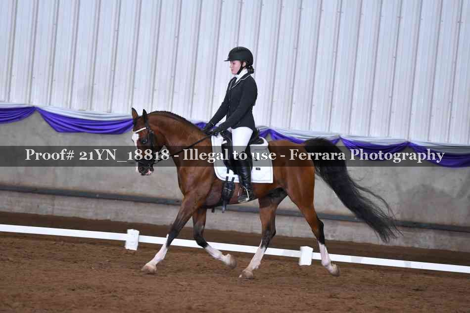 Proof 21YN_18818