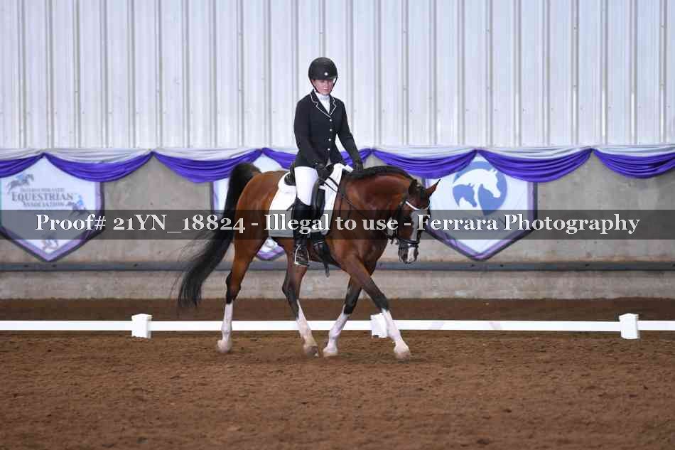 Proof 21YN_18824