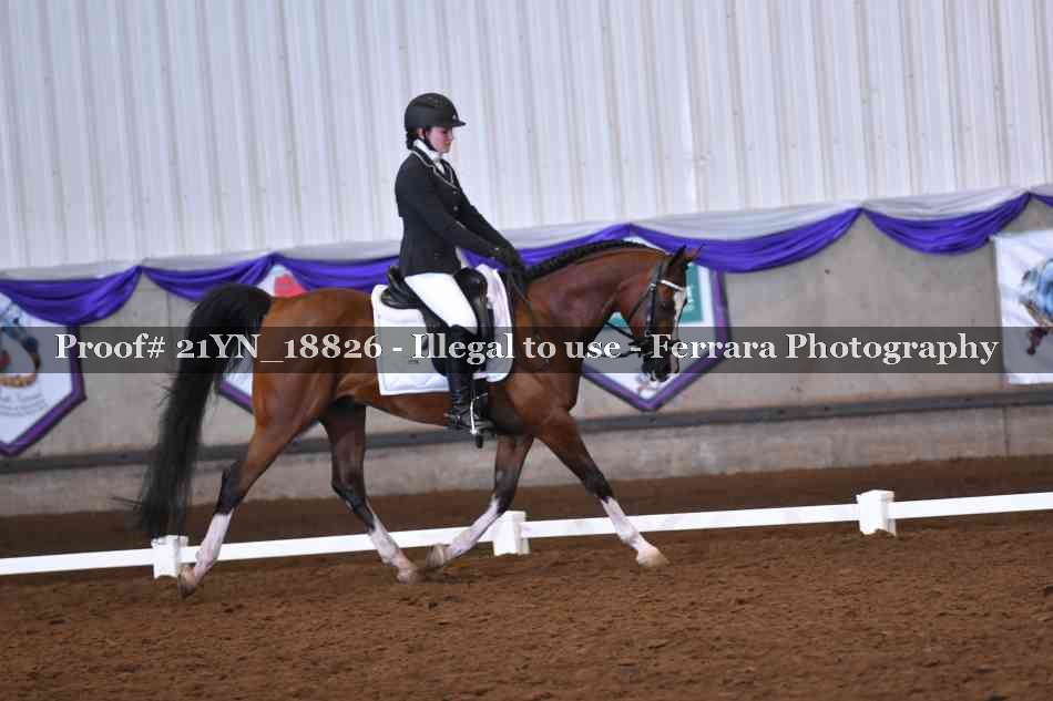 Proof 21YN_18826