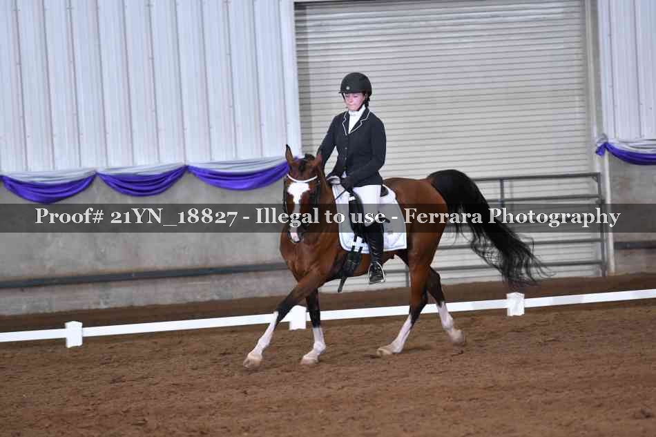 Proof 21YN_18827
