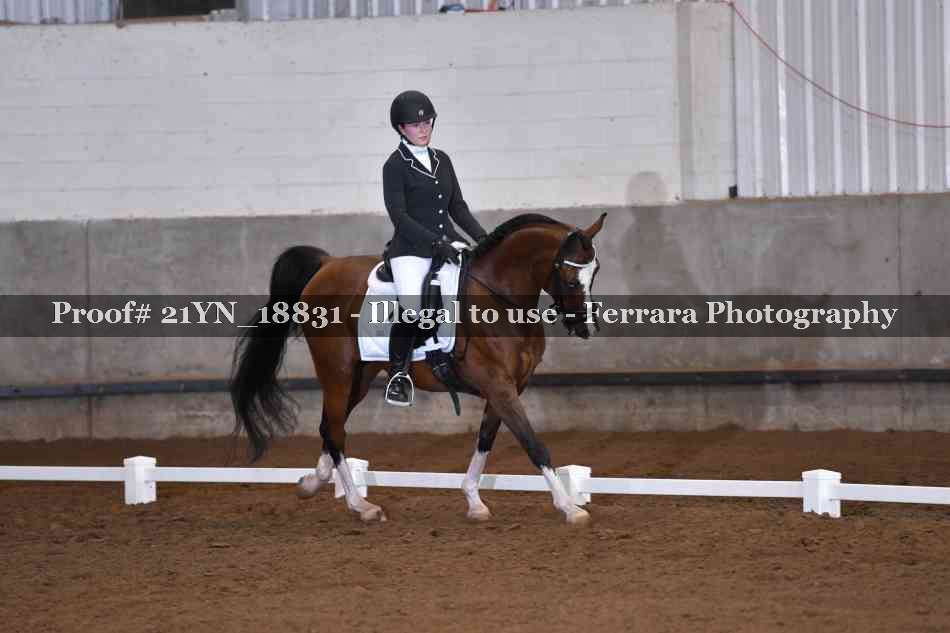 Proof 21YN_18831