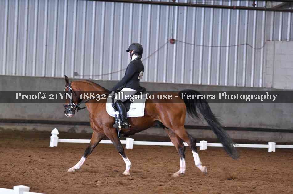 Proof 21YN_18832