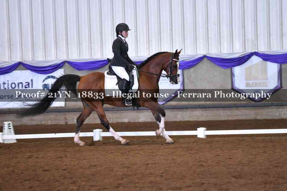 Proof 21YN_18833