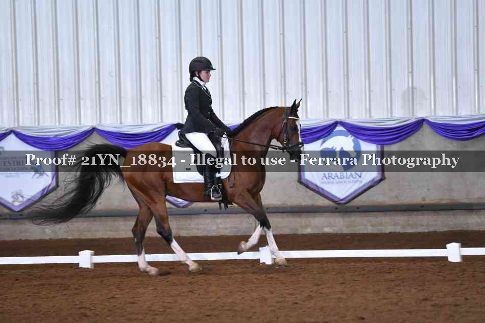 Proof 21YN_18834