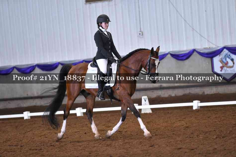 Proof 21YN_18837