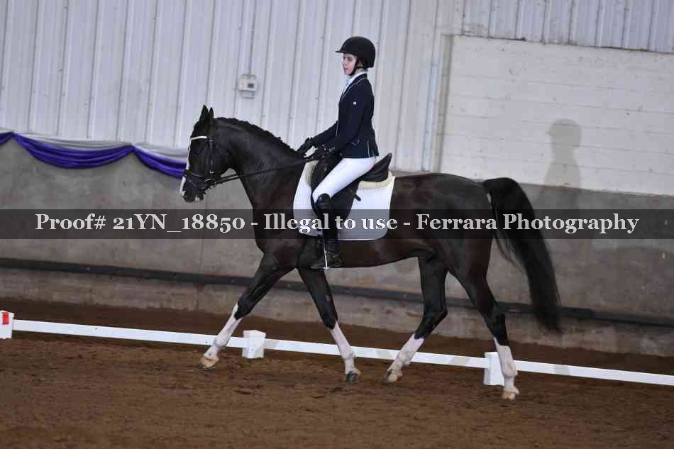 Proof 21YN_18850