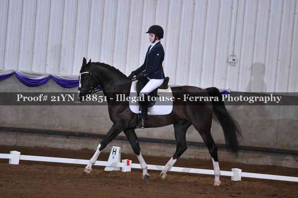 Proof 21YN_18851