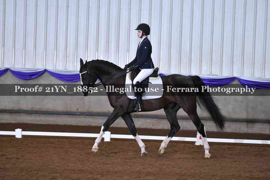 Proof 21YN_18852