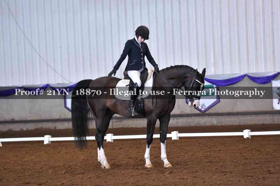 Proof 21YN_18870