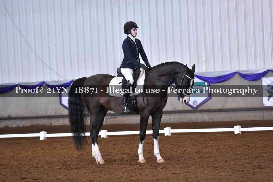 Proof 21YN_18871