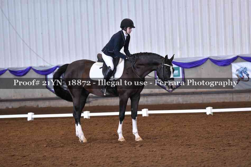 Proof 21YN_18872