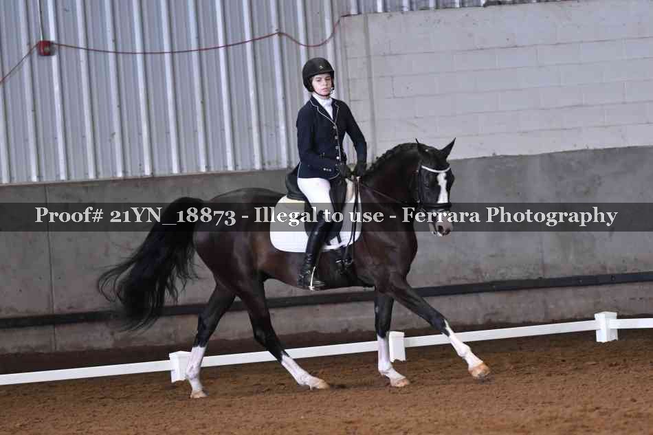 Proof 21YN_18873