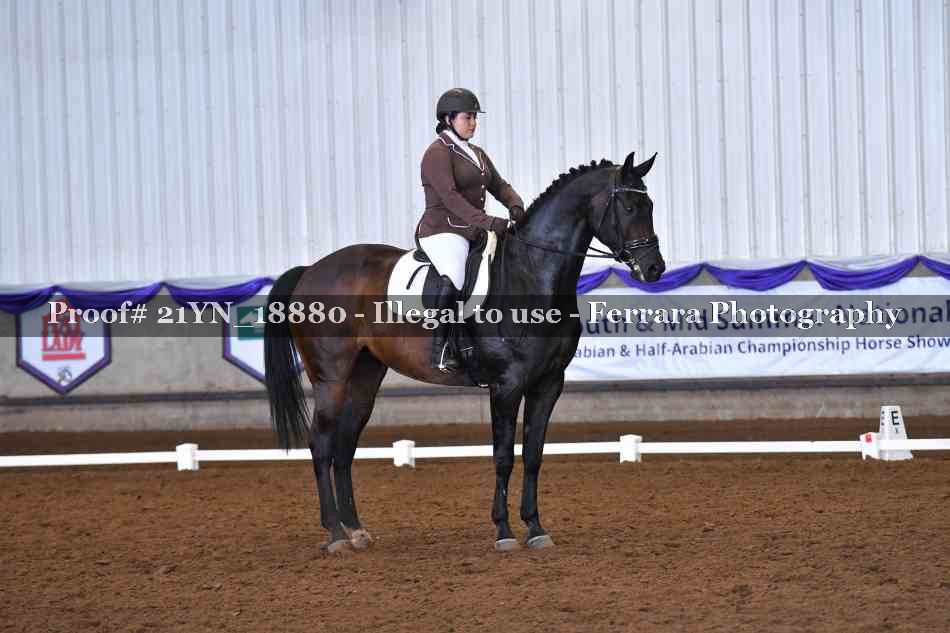 Proof 21YN_18880
