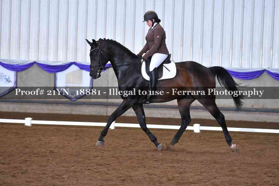 Proof 21YN_18881