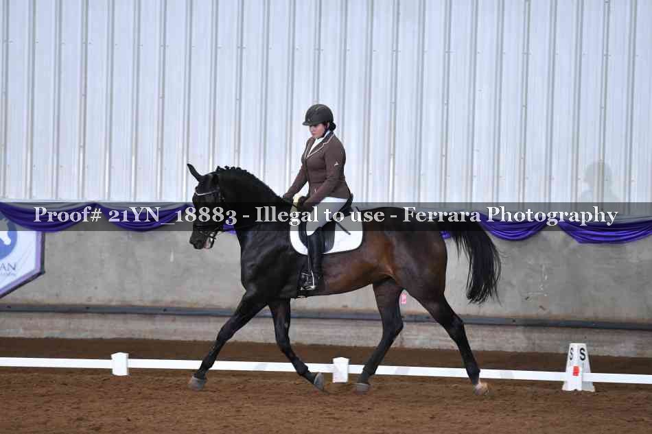 Proof 21YN_18883