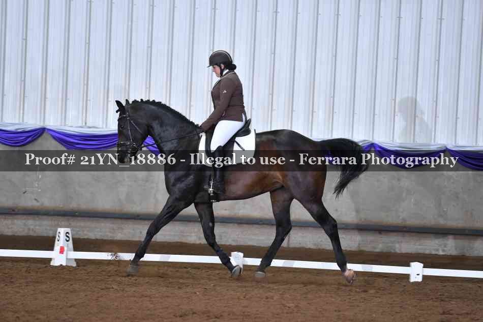 Proof 21YN_18886