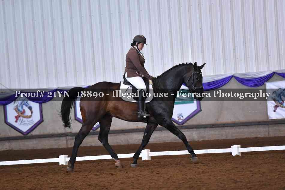 Proof 21YN_18890