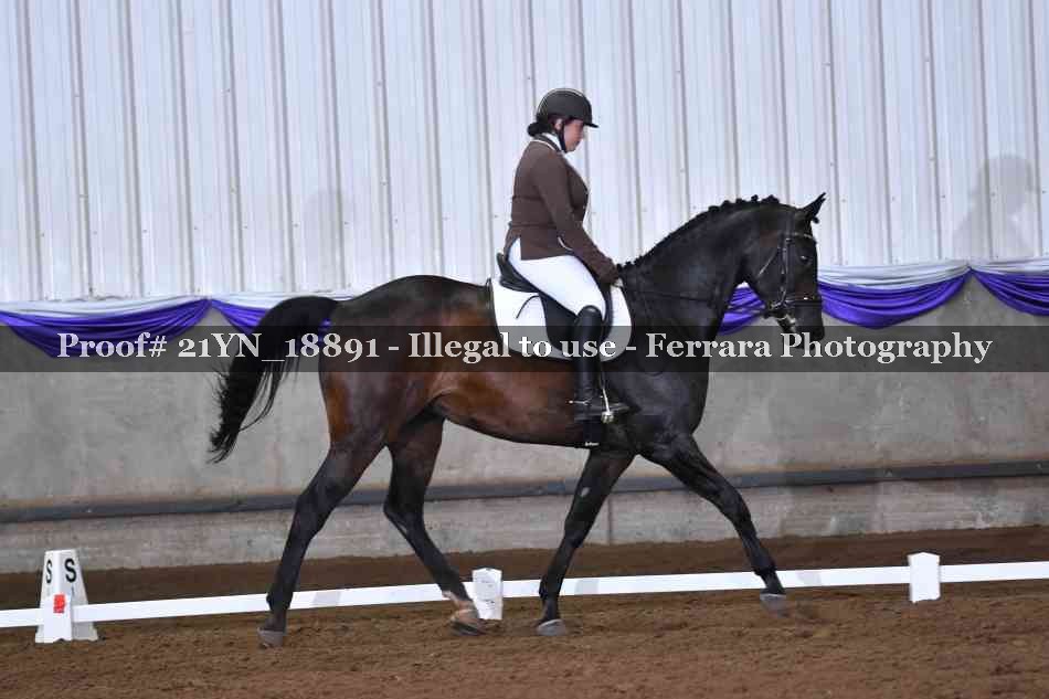 Proof 21YN_18891