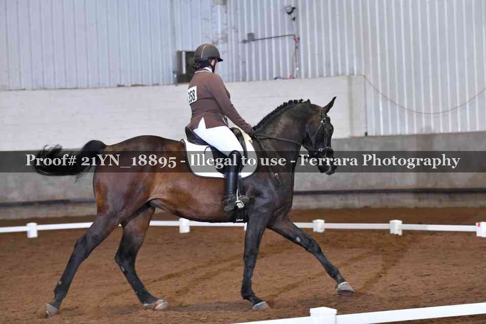 Proof 21YN_18895