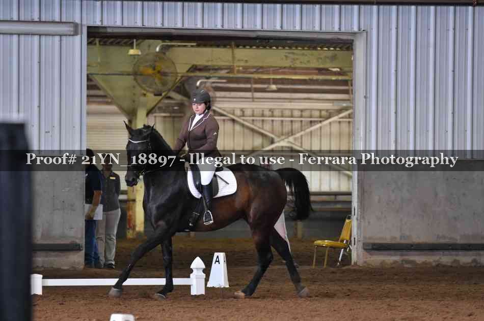 Proof 21YN_18897