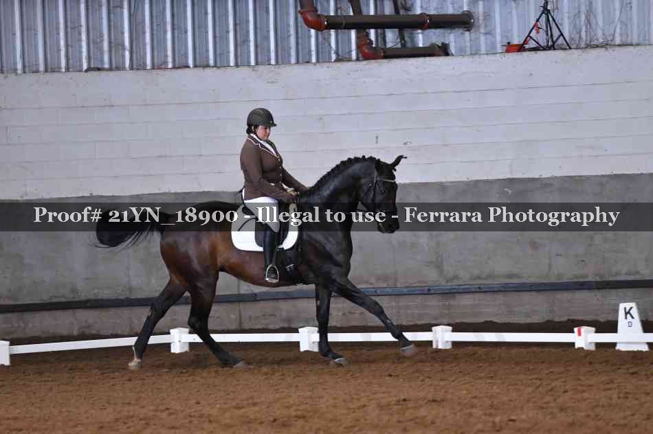 Proof 21YN_18900
