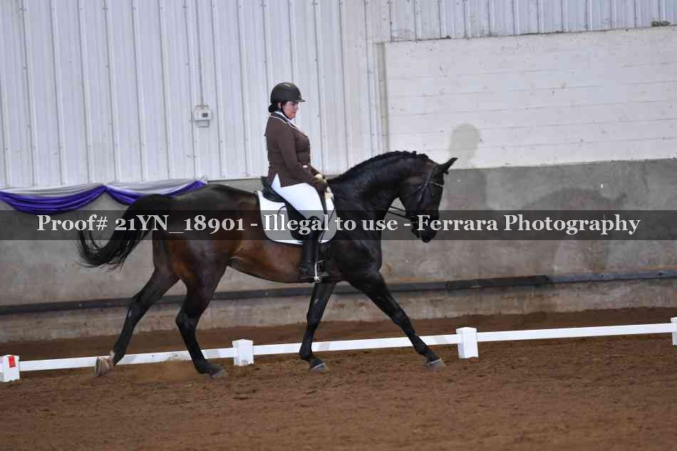 Proof 21YN_18901