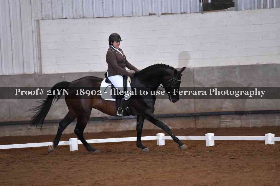 Proof 21YN_18902