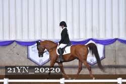 21YN_20220 proof