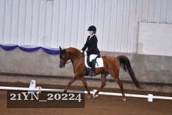 21YN_20224 proof