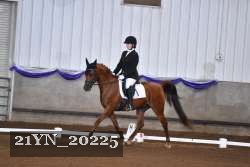21YN_20225 proof