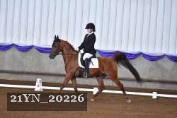 21YN_20226 proof