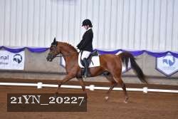 21YN_20227 proof