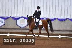 21YN_20229 proof