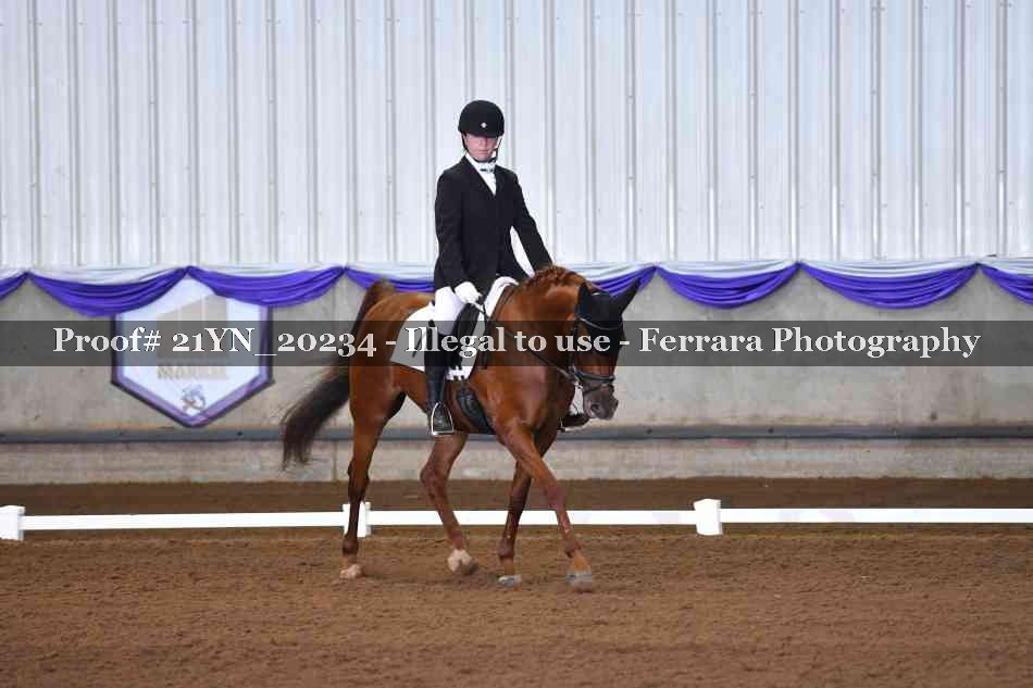 Proof 21YN_20234