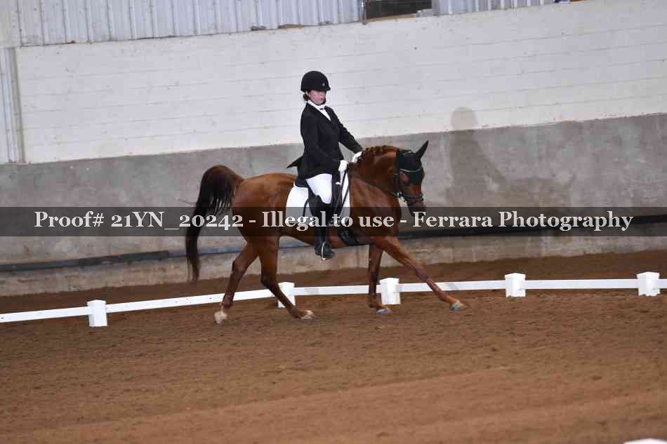 Proof 21YN_20242
